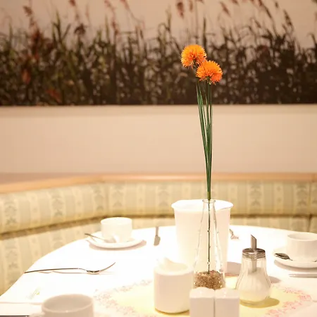 Sonnenhotel Feldberg Am Mit Schwimmbad, Sauna Und Dampfbad Hotel 3*