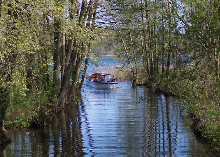 Hotel Sonnenhotel Feldberg Am 3*