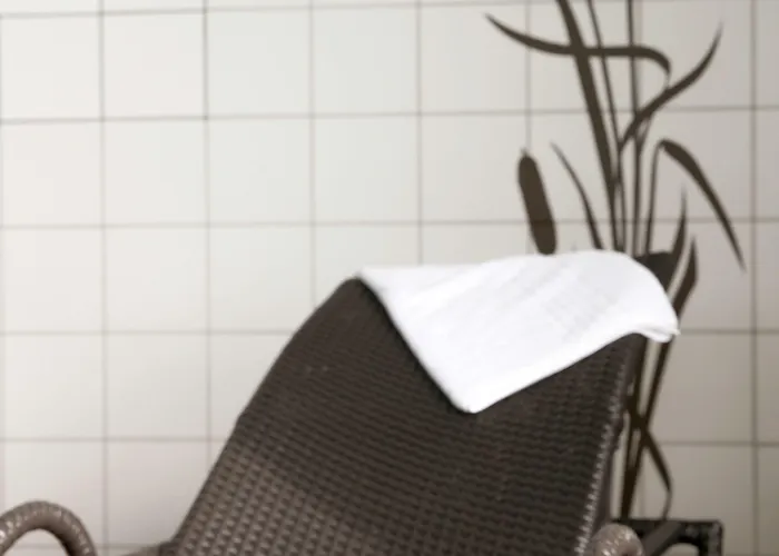 Sonnenhotel Feldberg Am Hotel 3*